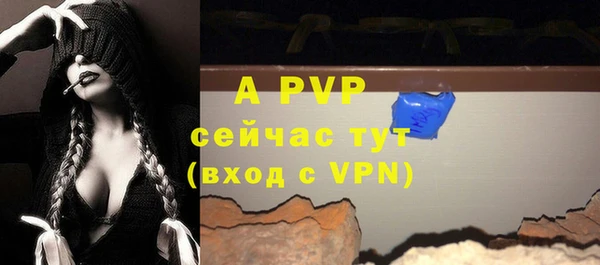 стафф Заводоуковск