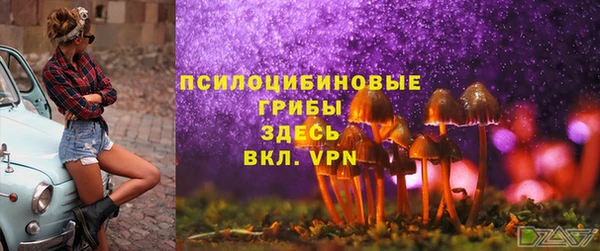 твердый Пестово