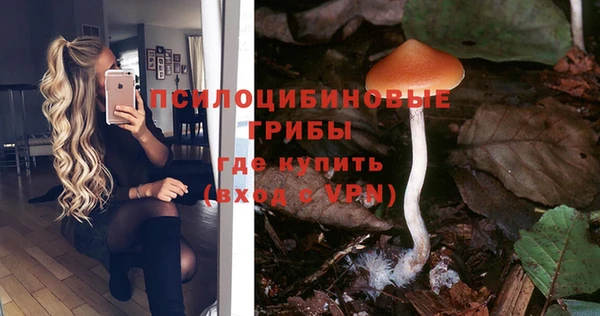 стафф Заводоуковск