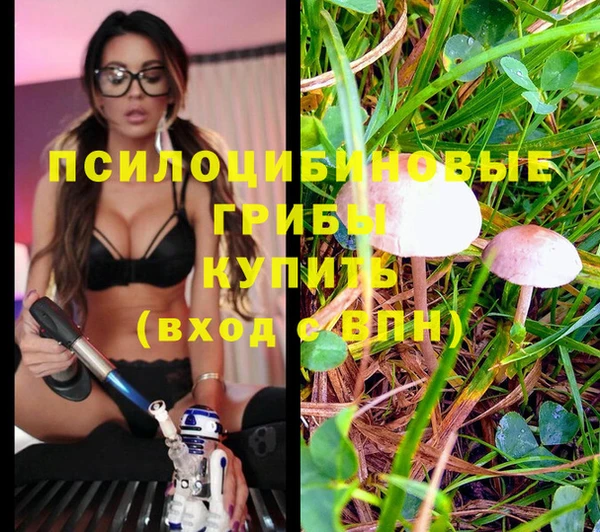 стаф Заволжск