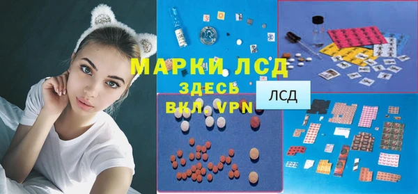 стафф Заводоуковск