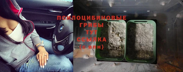 стафф Заводоуковск