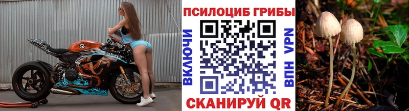 Купить где  Грязи  Псилоцибиновые грибы Cubensis 